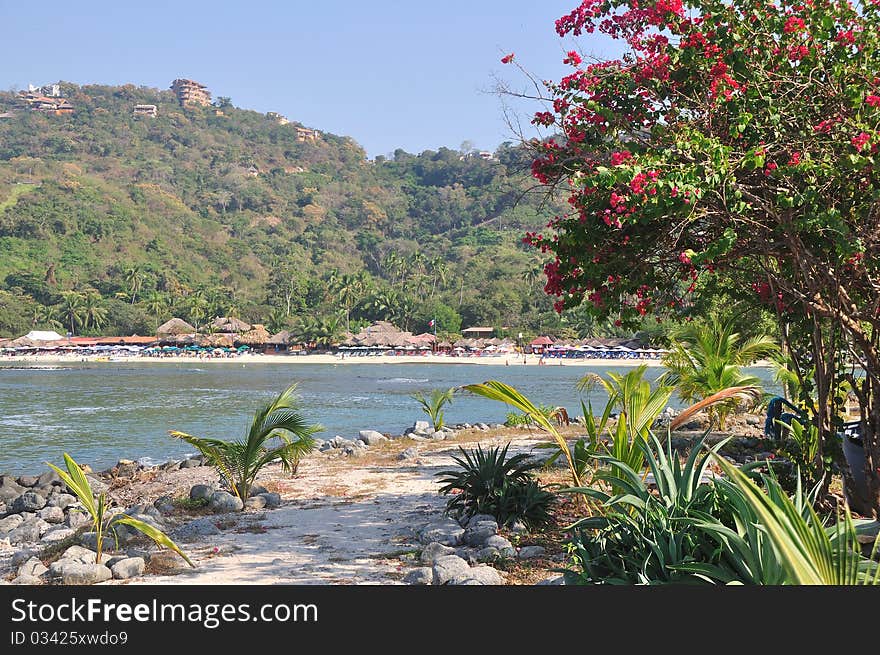 This is an image of a path on La Gatas Beach in Zihuatanejo, Mexico,. This is an image of a path on La Gatas Beach in Zihuatanejo, Mexico,