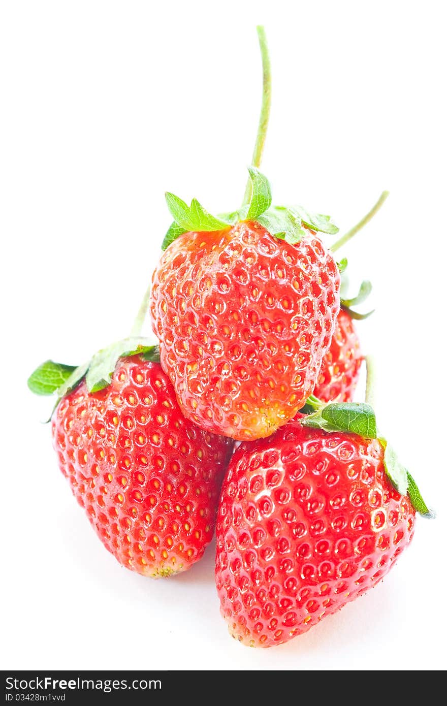 Four strawberry on white background