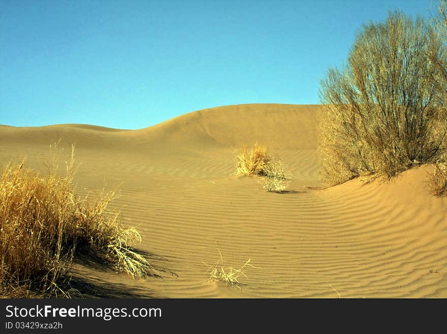 Sand desert in central Iran. Sand desert in central Iran.