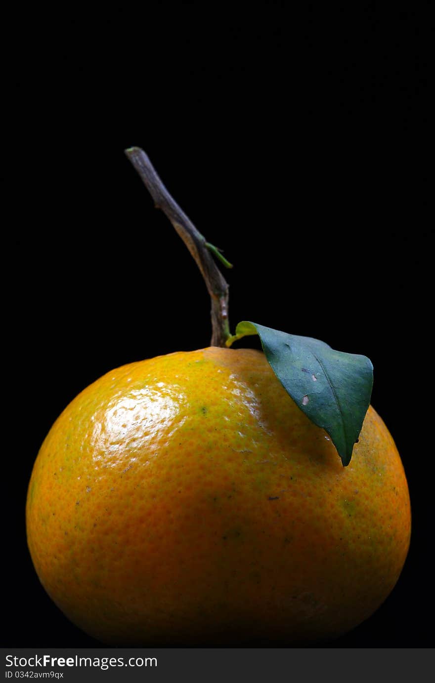 Detailed shot of ripe orange on black background. Detailed shot of ripe orange on black background.