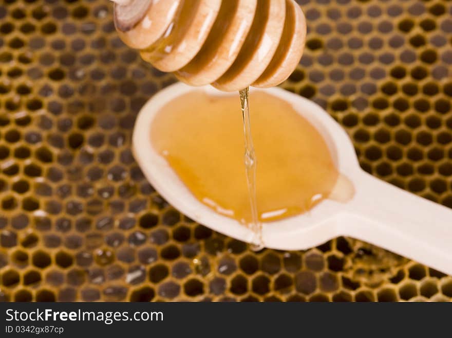 Beautiful yellow patch of honey