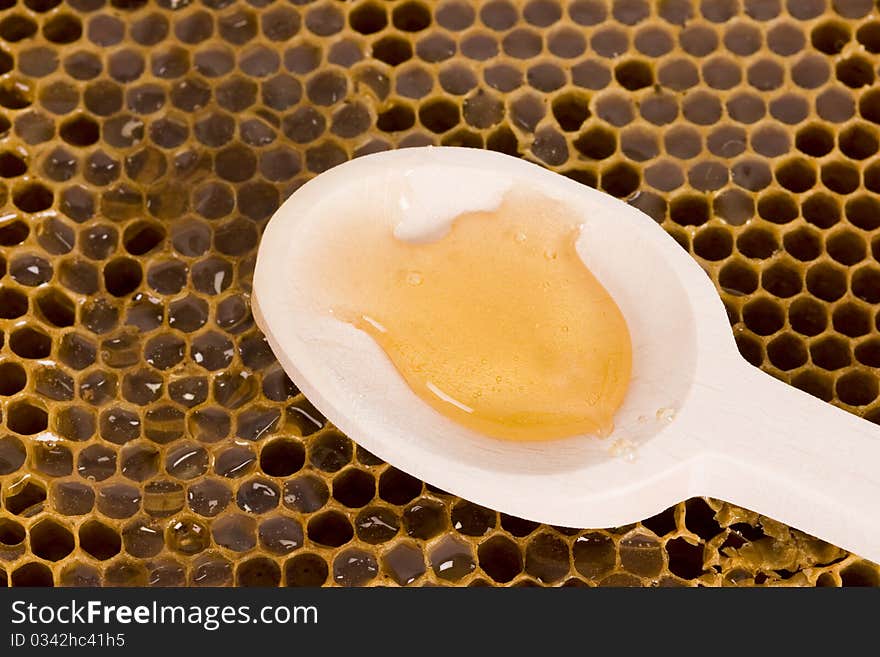 Beautiful yellow patch of honey