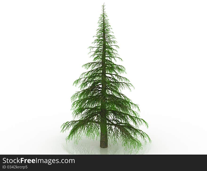 Christmas tree on a mirrored background. Christmas tree on a mirrored background