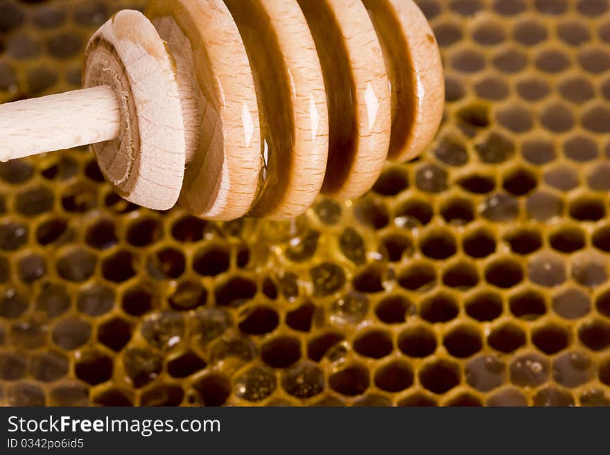 Beautiful yellow patch of honey. Beautiful yellow patch of honey