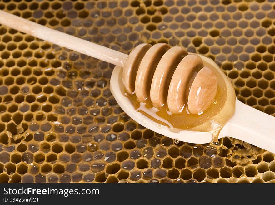 Beautiful yellow patch of healthy and tasty honey