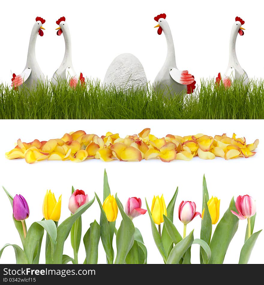 Chickens in the grass and flowers in a row