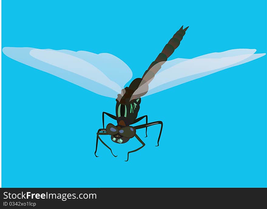 Flying insect. Dragonfly on a blue background.