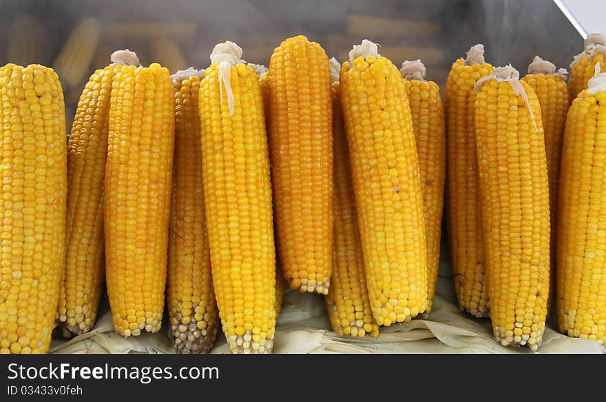 Boiled Corn.