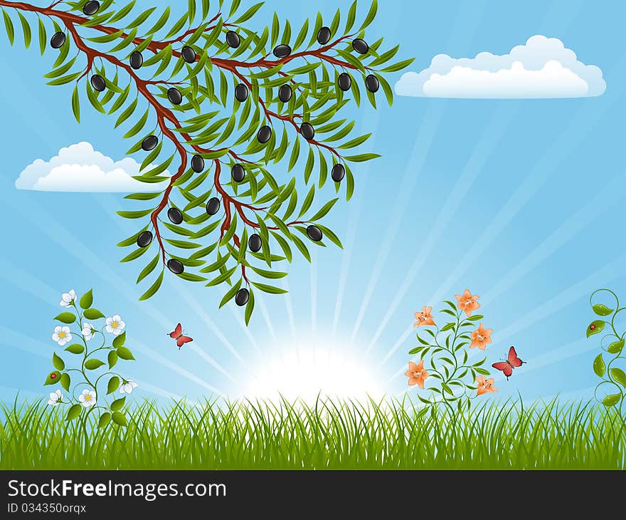 Summer landscape with an olive branch. Vector illustration.