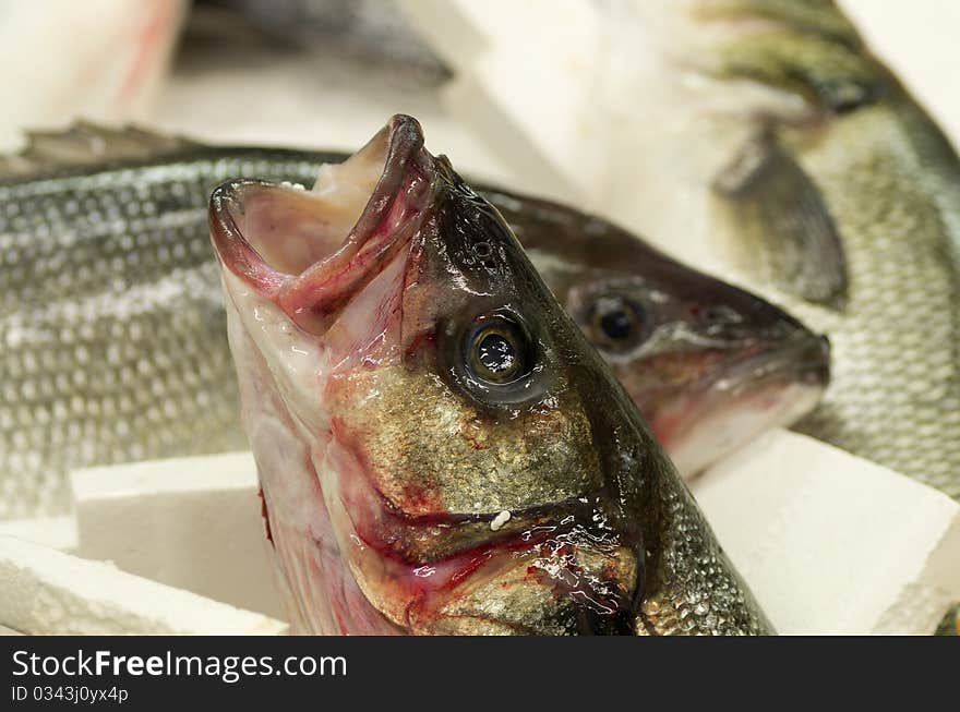 Colored fish at market