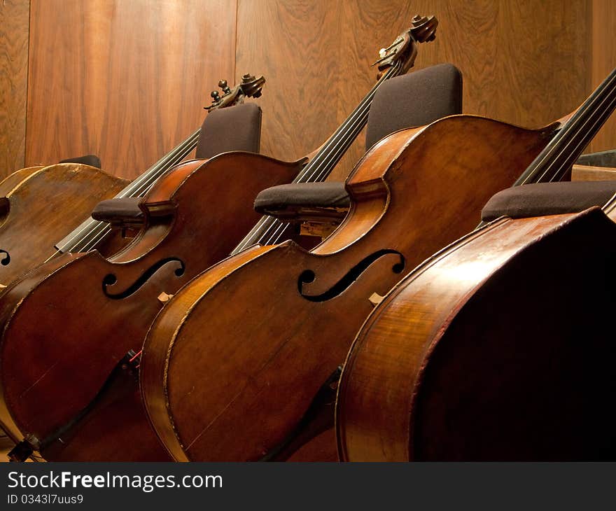 Three Contra basses arranged in line