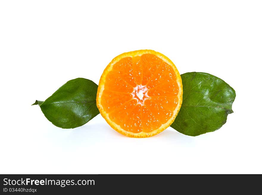 Fresh Tangerine