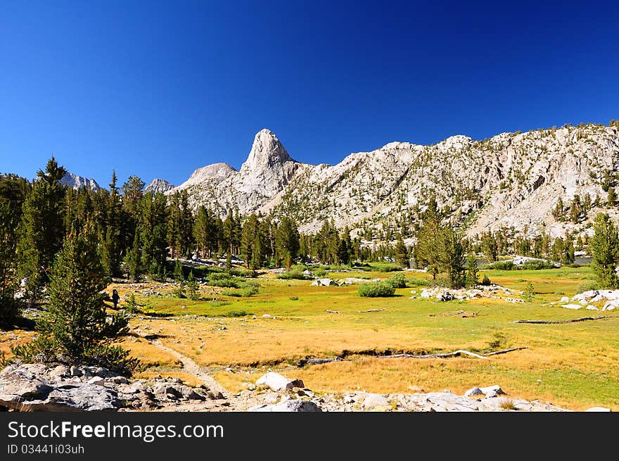 Meadow against mountain wall