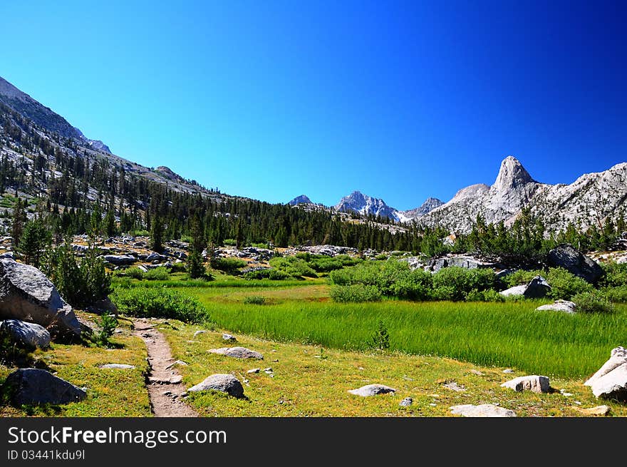 Meadow against mountain wall