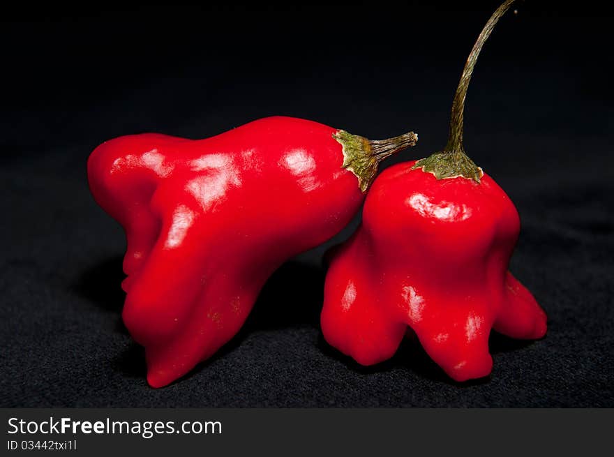 Red hot chilli peppers isolated on a black background.