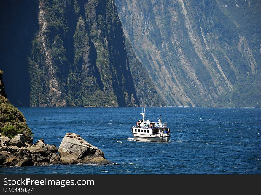 A ferry trip to Milford Sound