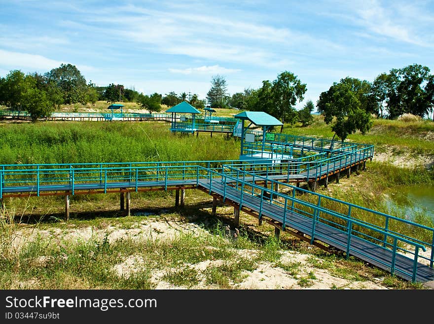 The blue pathway