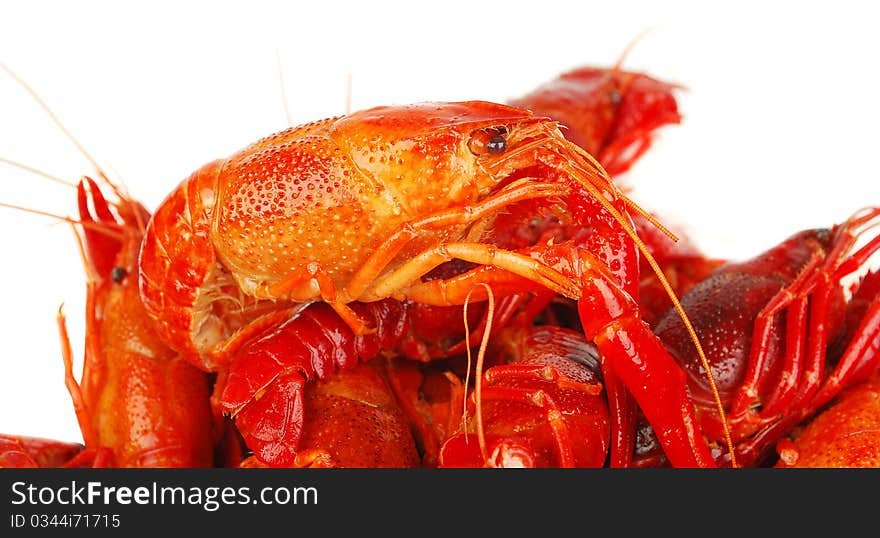 Closeup background a lot of red boiled crayfishes. Studio shoot. Closeup background a lot of red boiled crayfishes. Studio shoot.