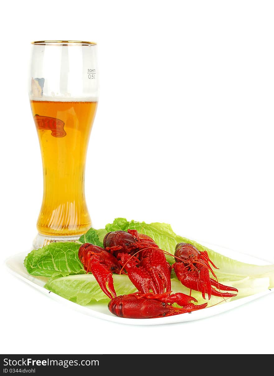 Crawfish and Beer