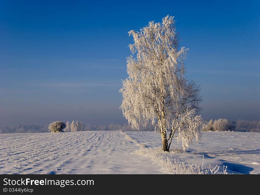 Winter scenery