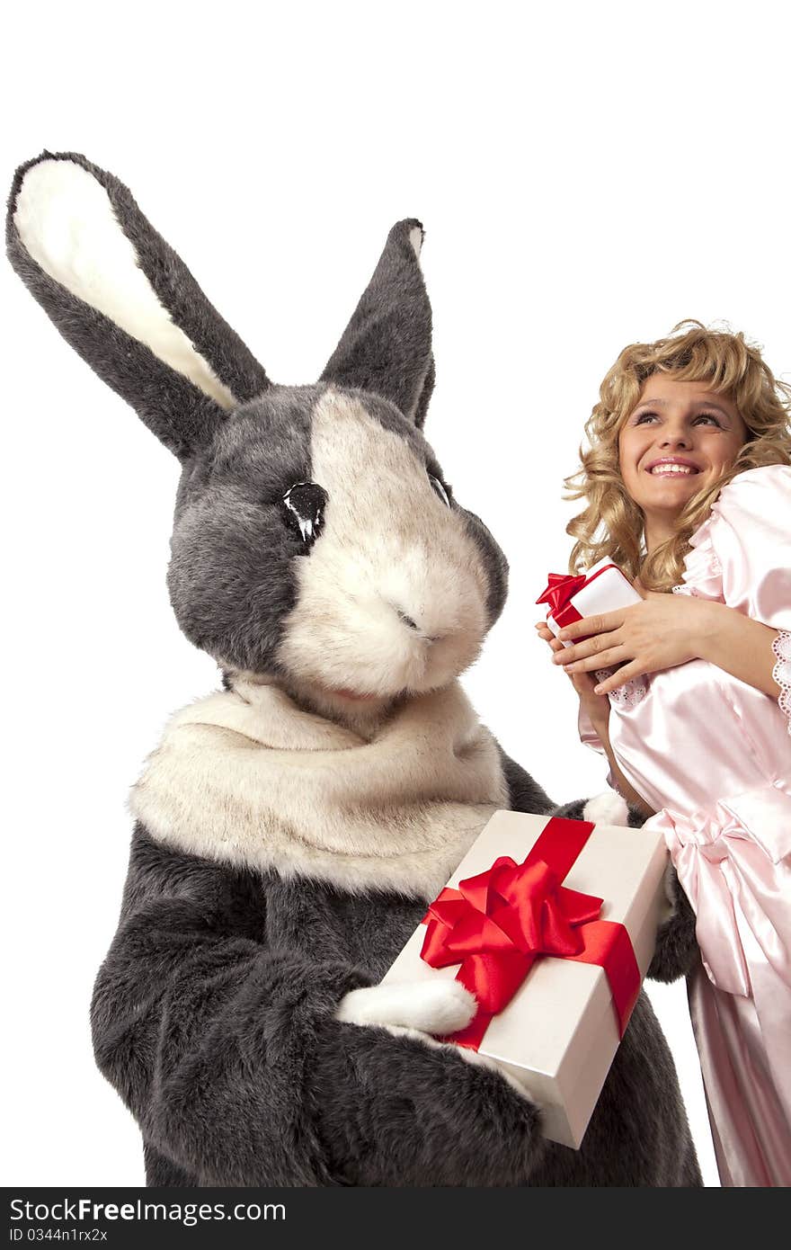 Portrait of big grey fur's color rabbit giving present to a pretty girl in pink dress against white background. Portrait of big grey fur's color rabbit giving present to a pretty girl in pink dress against white background