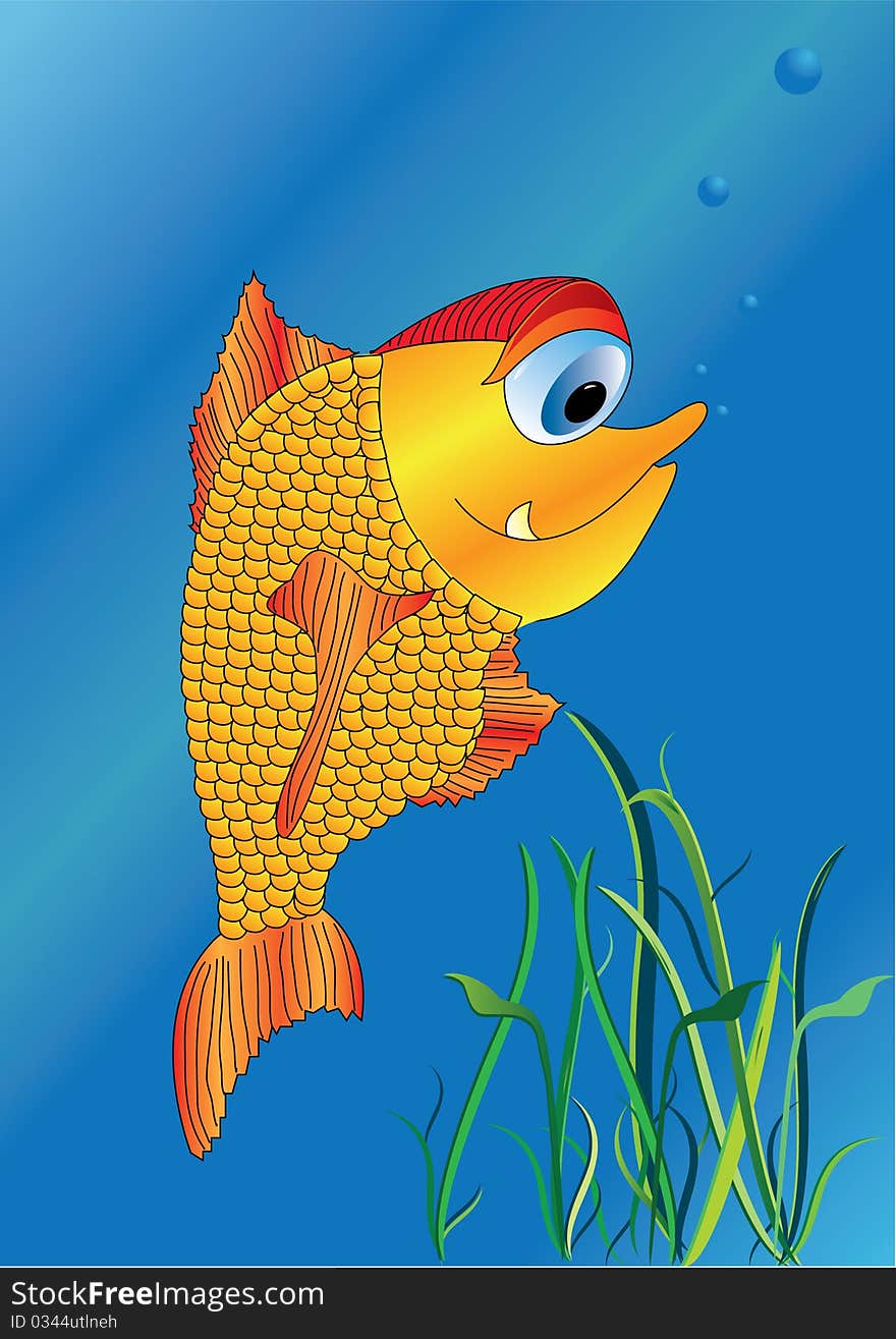 Beautiful gold fish in sea