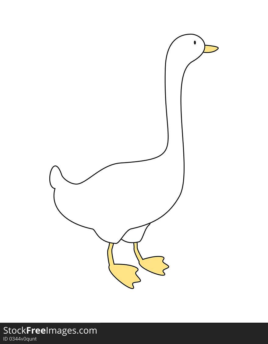 Illustration of goose, isolated on white background