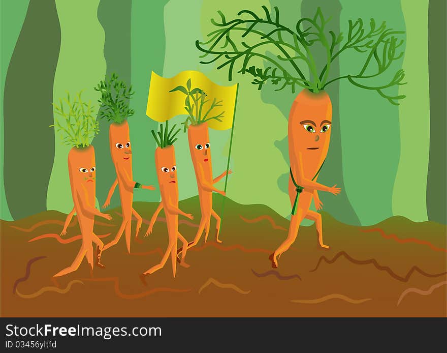 Army of genetically modified carrots