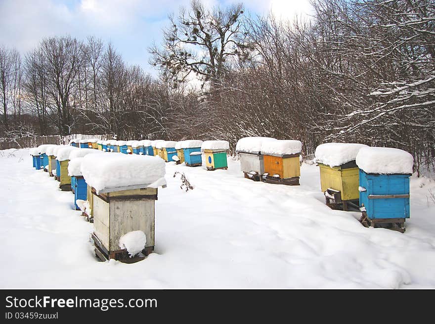 Beehives covered with snow in wintertime. Beehives covered with snow in wintertime