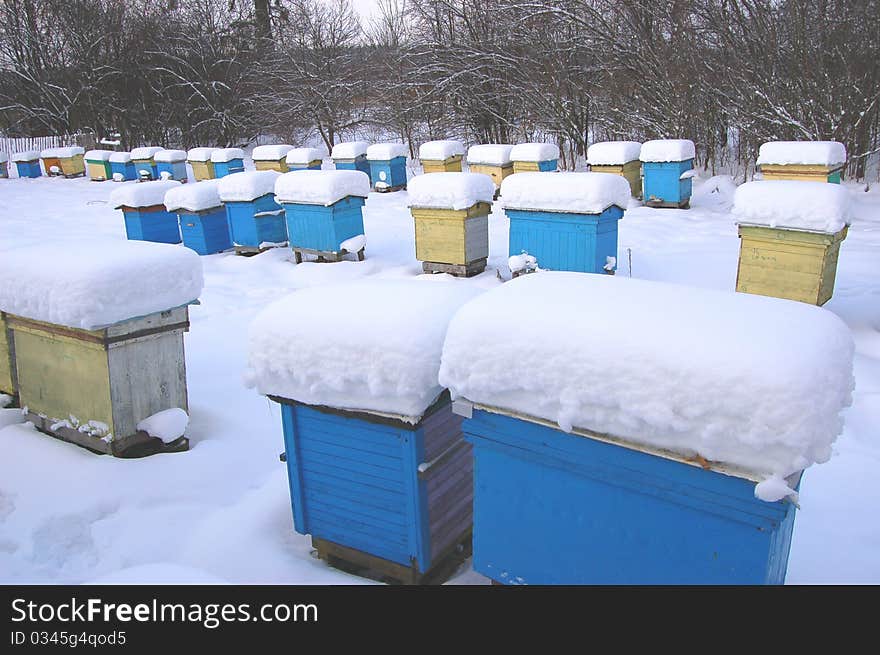 Apiary in wintertime