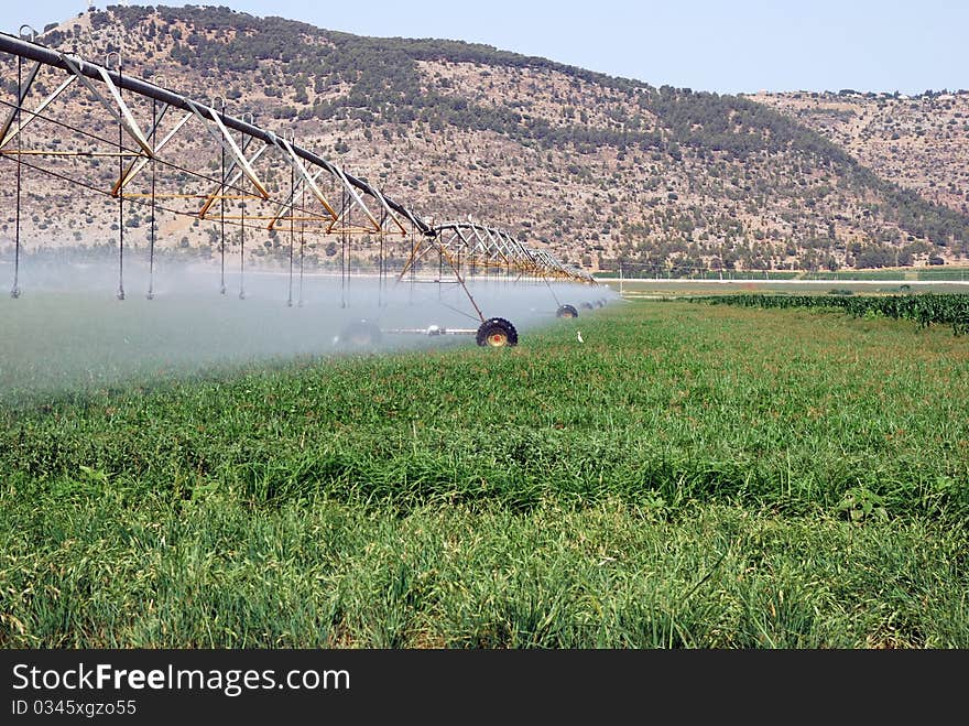 Watering of the green on a background of brown mountains. Watering of the green on a background of brown mountains