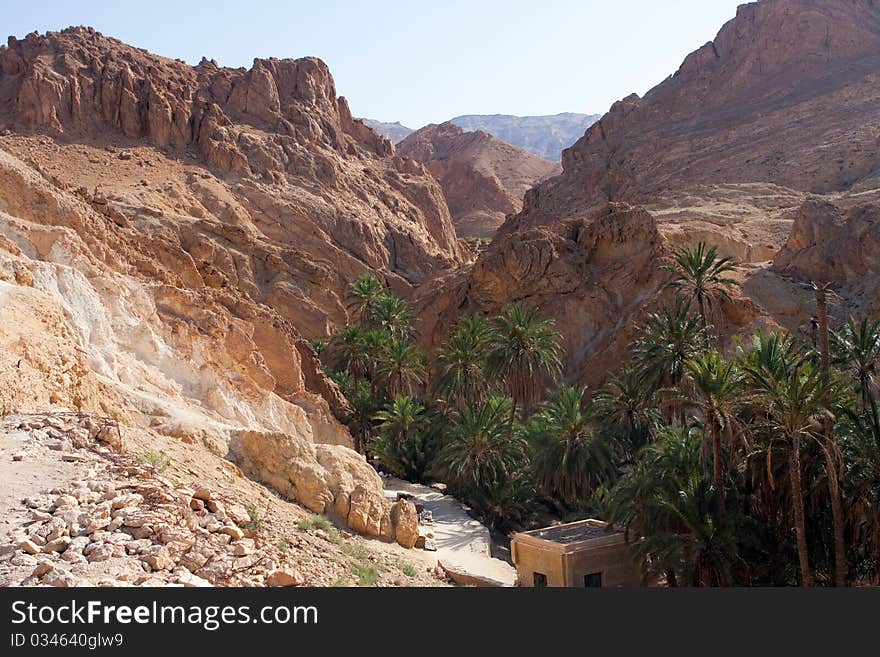 A green valley in the atlas mountains