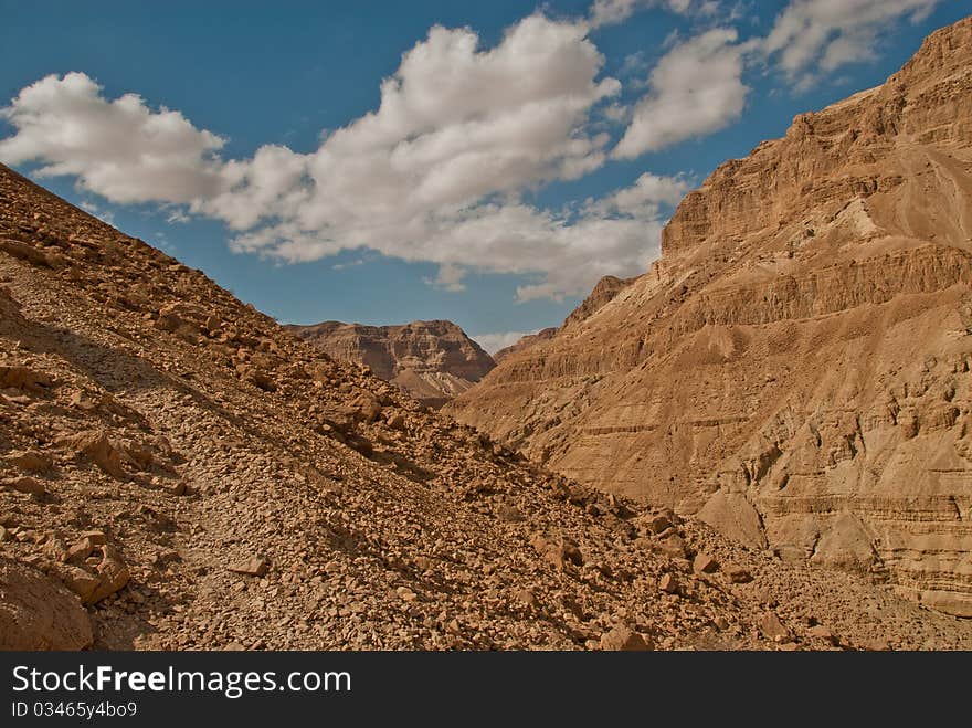 The desert and its mountains