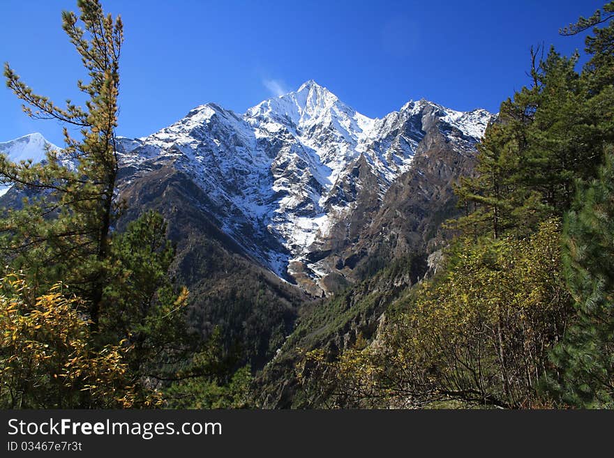 Annapurna II seen through the forest