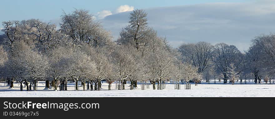 Stunning Winter Panorama