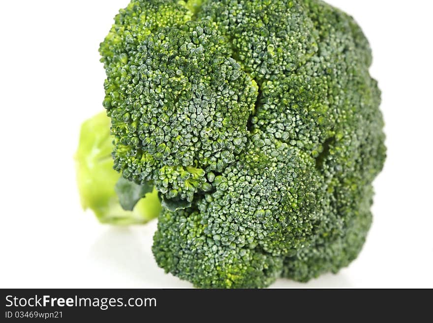 broccoli flower shot in the studio.