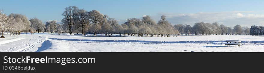 Panoramic view of winter time in park. Panoramic view of winter time in park