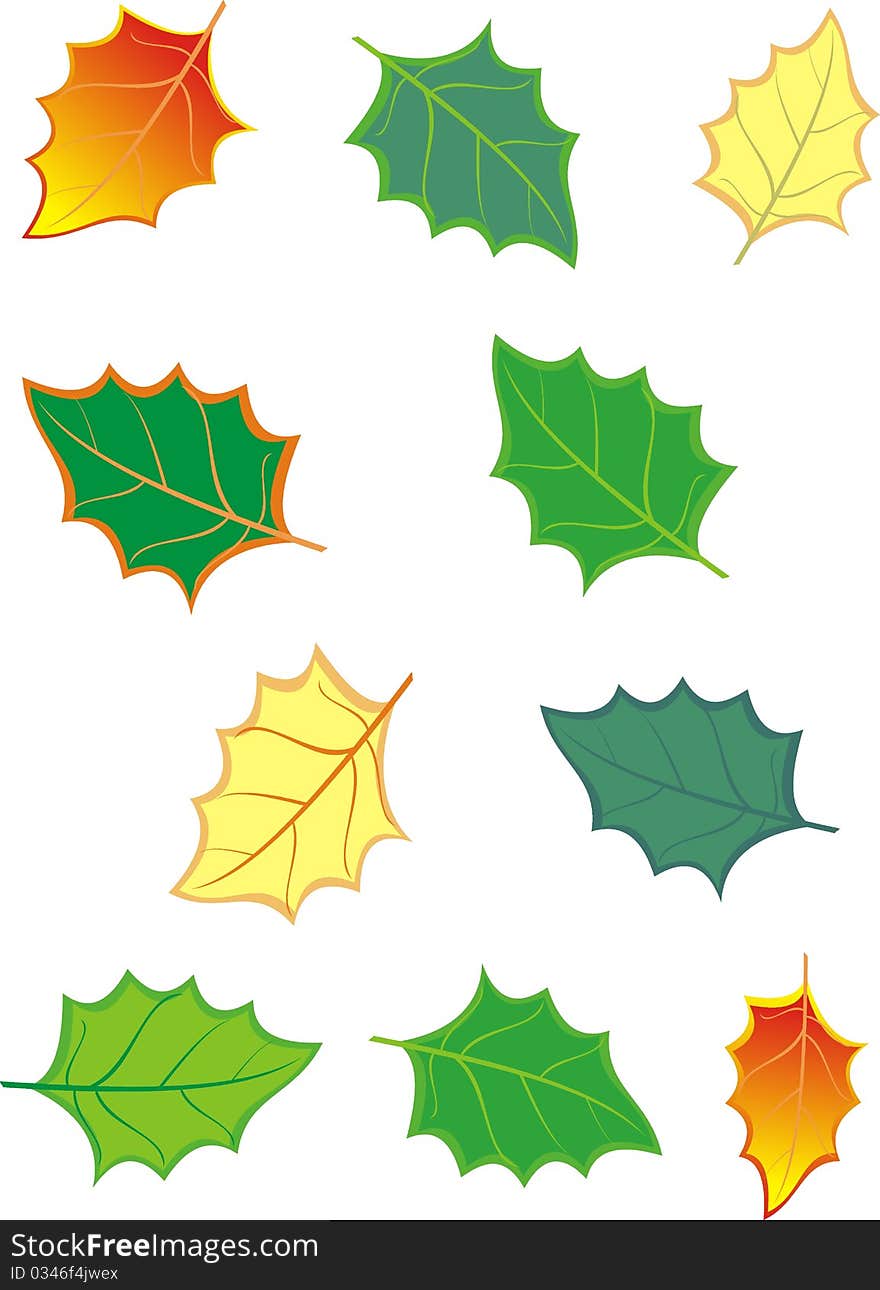 Set of leaves.