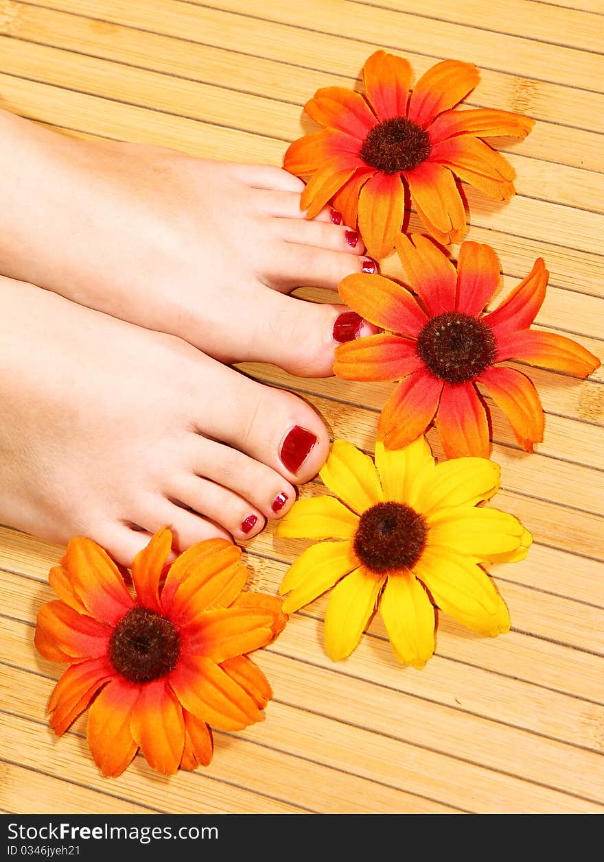 Spa treatment with beautiful colored flowers. Spa treatment with beautiful colored flowers