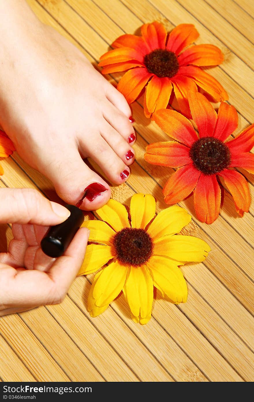 Spa treatment with beautiful colored flowers. Spa treatment with beautiful colored flowers