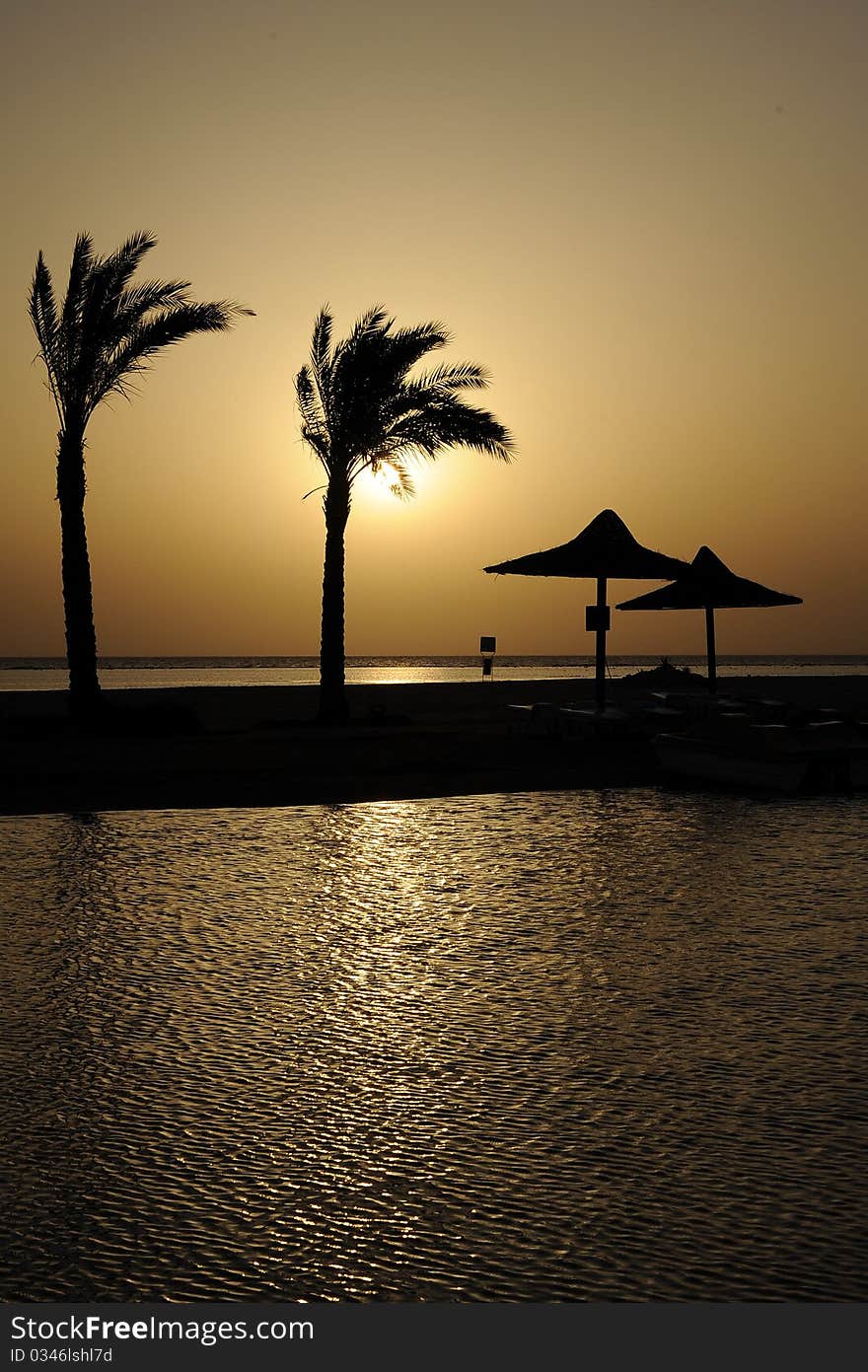 Palm trees and umbrellas at sunrise