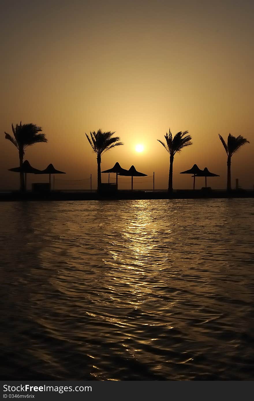 Palm trees and umbrellas at sunrise