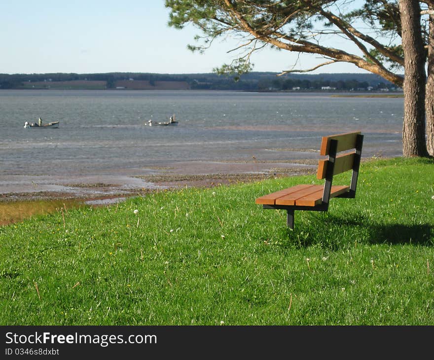 Bench by ocean