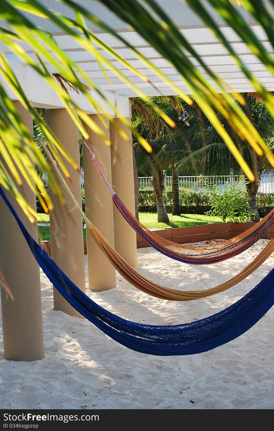 Hammocks by the palm trees inviting to take a break. Hammocks by the palm trees inviting to take a break