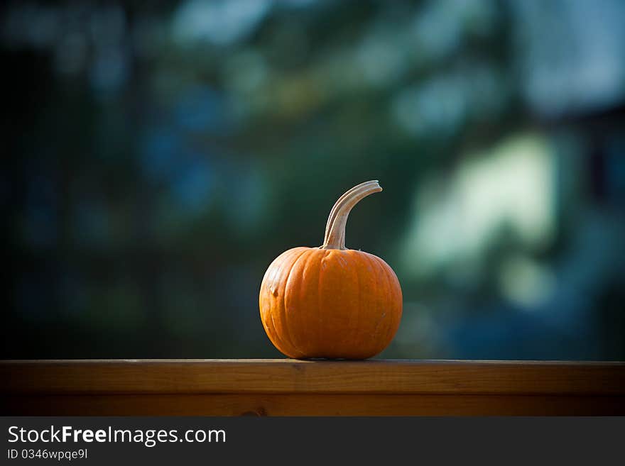 A small pumpkin sitting on a fence.