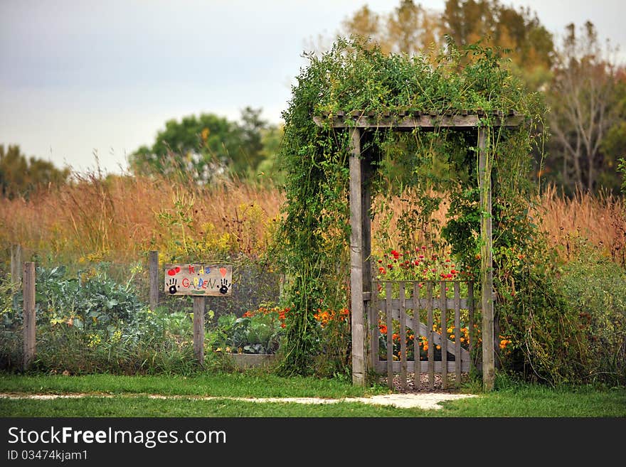 Kid's garden in autumn