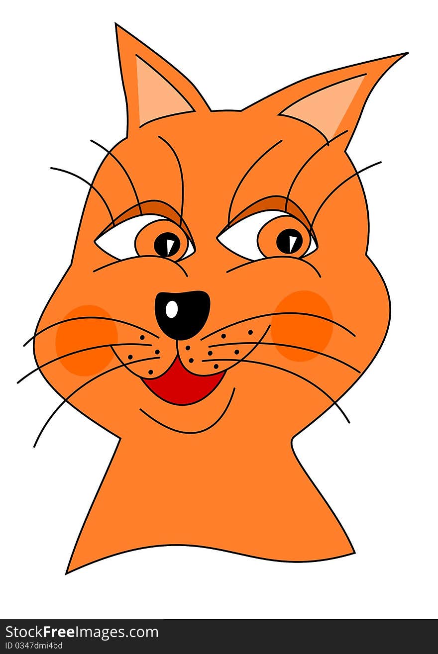 Cat animal domestic head orange. Cat animal domestic head orange