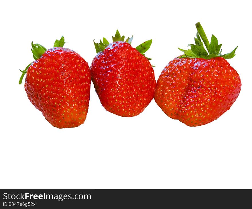 Isolated strawberries on white backround. Isolated strawberries on white backround