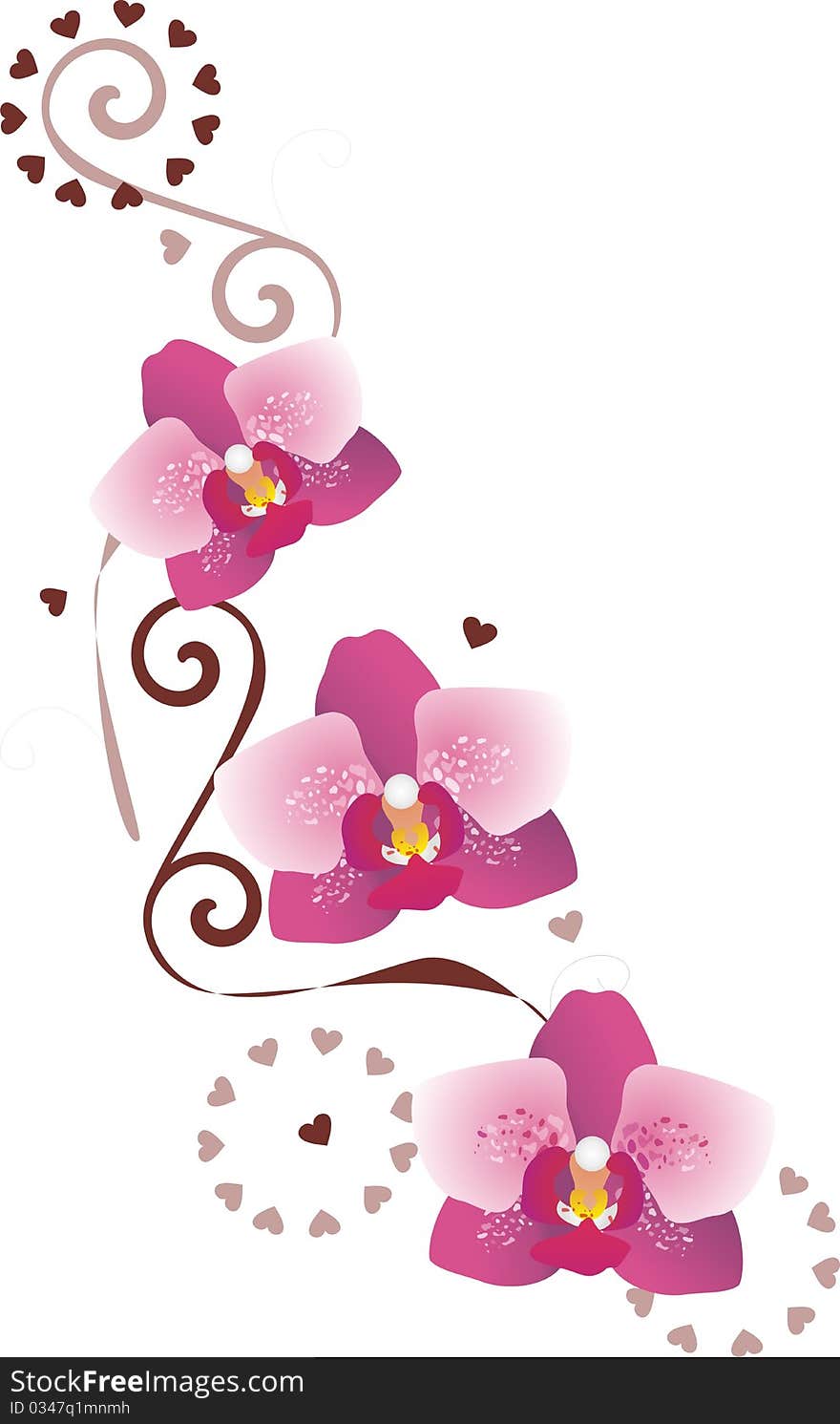 Orchid Pattern