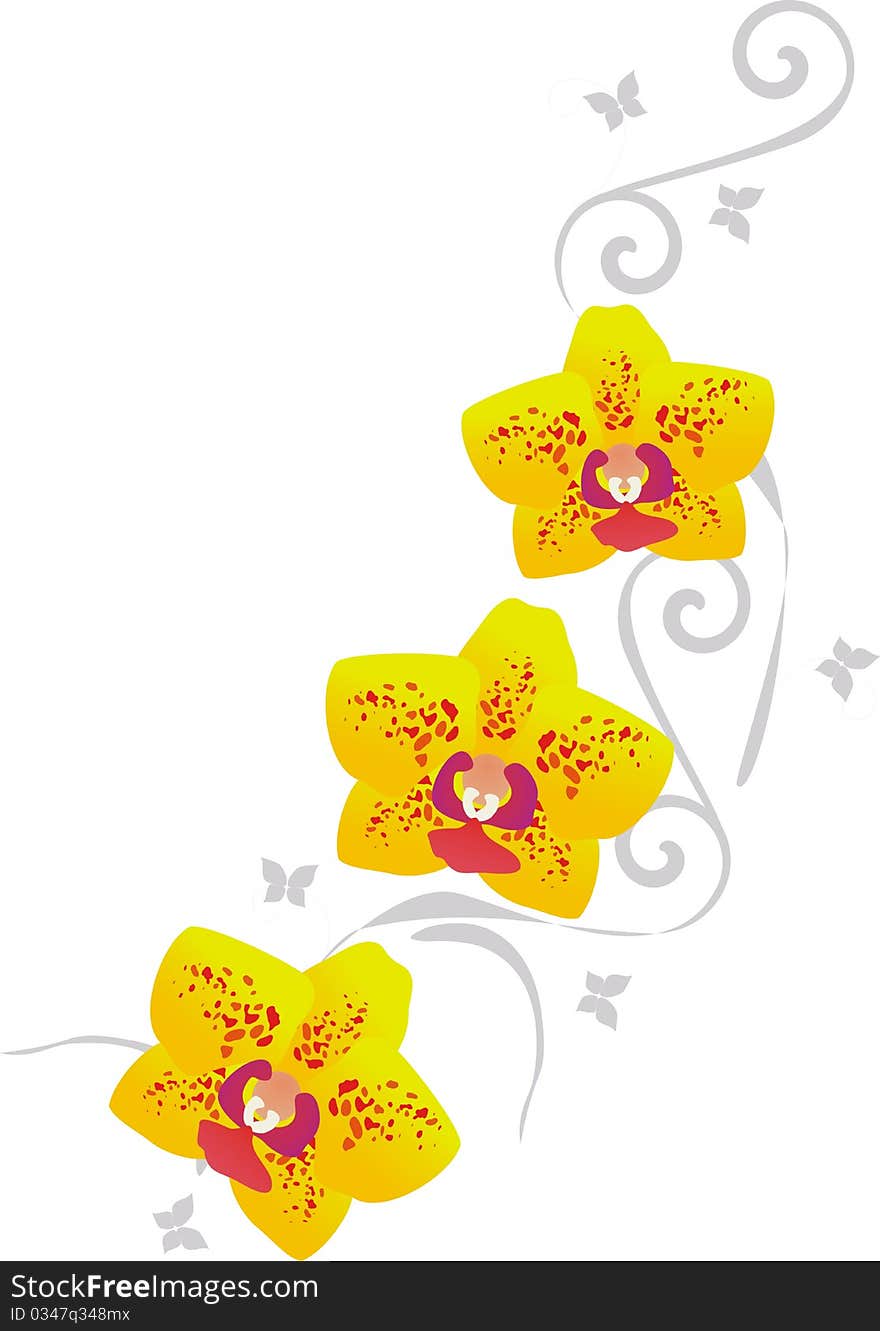 Yellow orchid pattern